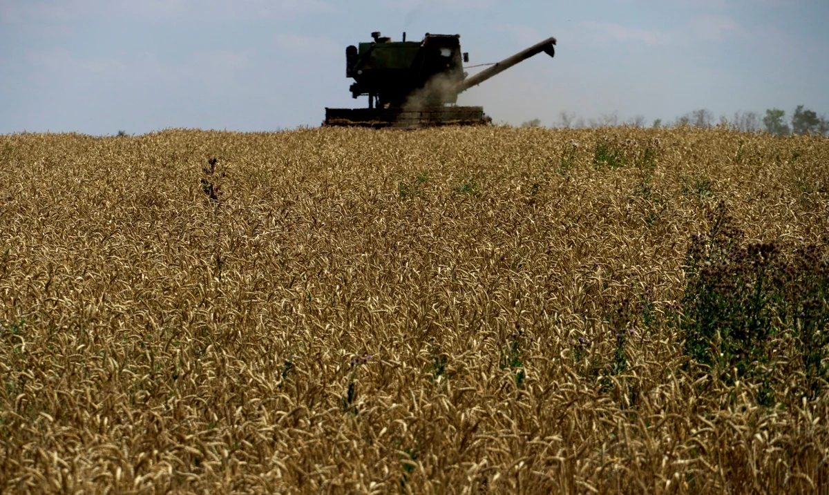 Ukraine: L'accord céréalier en mer Noire prolongé de deux mois, une batterie de Patriot endommagée