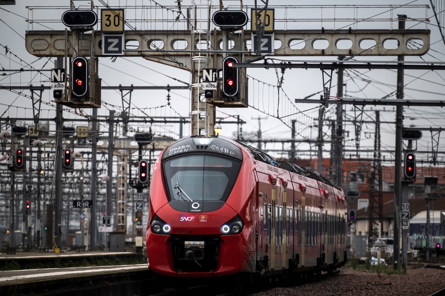 Pas de procès pour un chat écrasé par un train en France