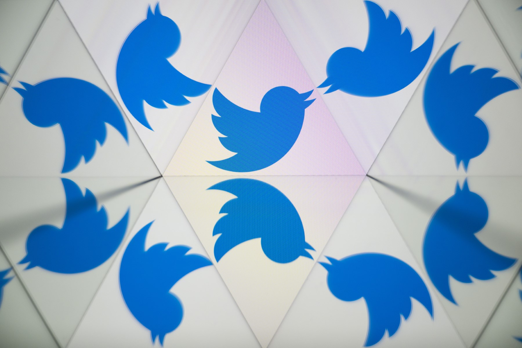 La chasse aux négationnistes climatiques se complique sur Twitter