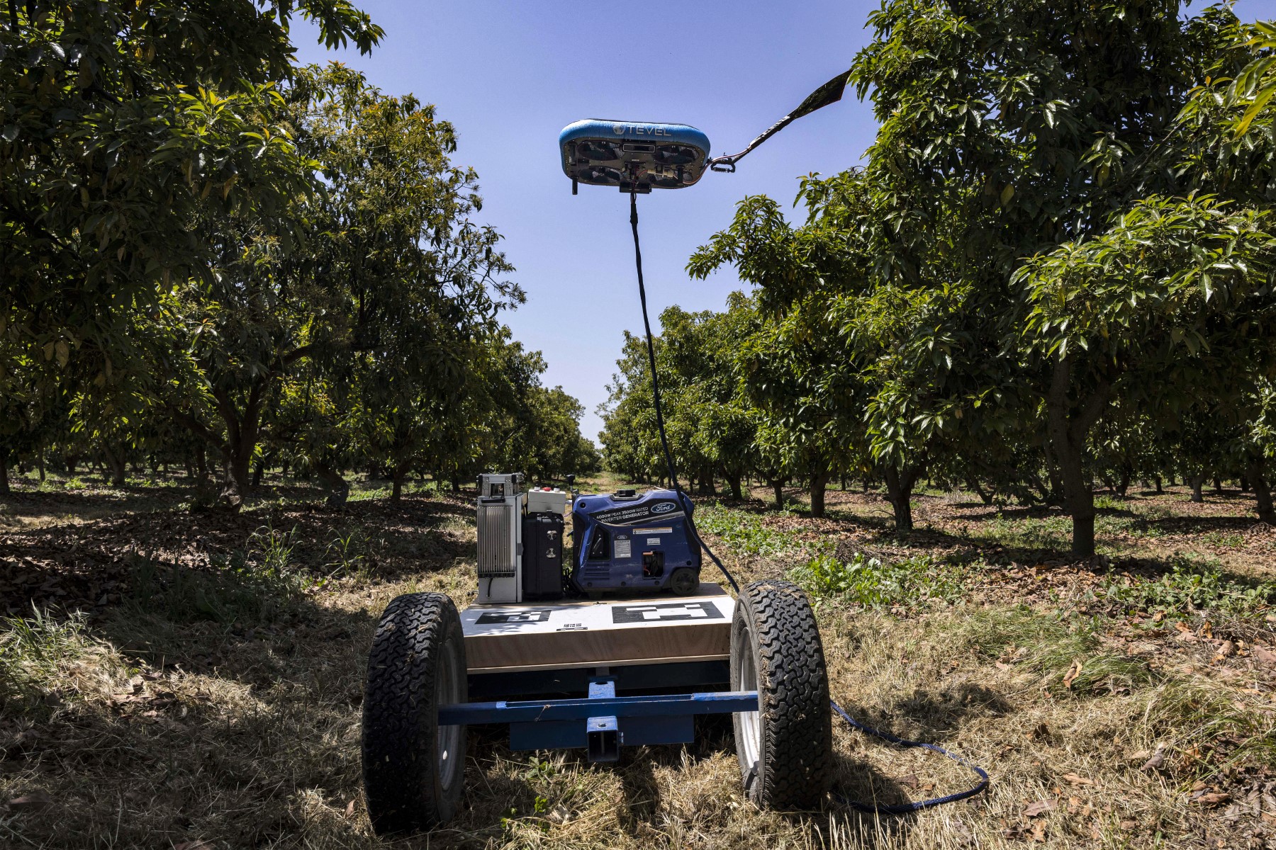 En Israël, les techniques de pointe bousculent l'agriculture