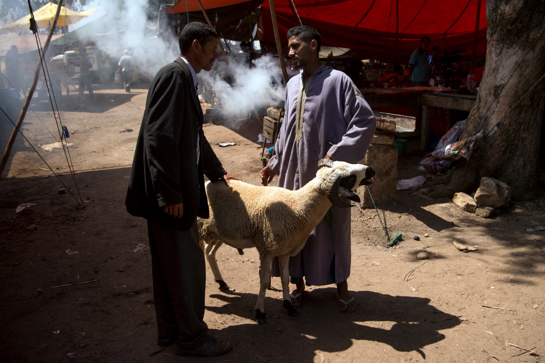 Aïd al-Adha au Maroc, les marchés de vente de bétail pris d’assaut