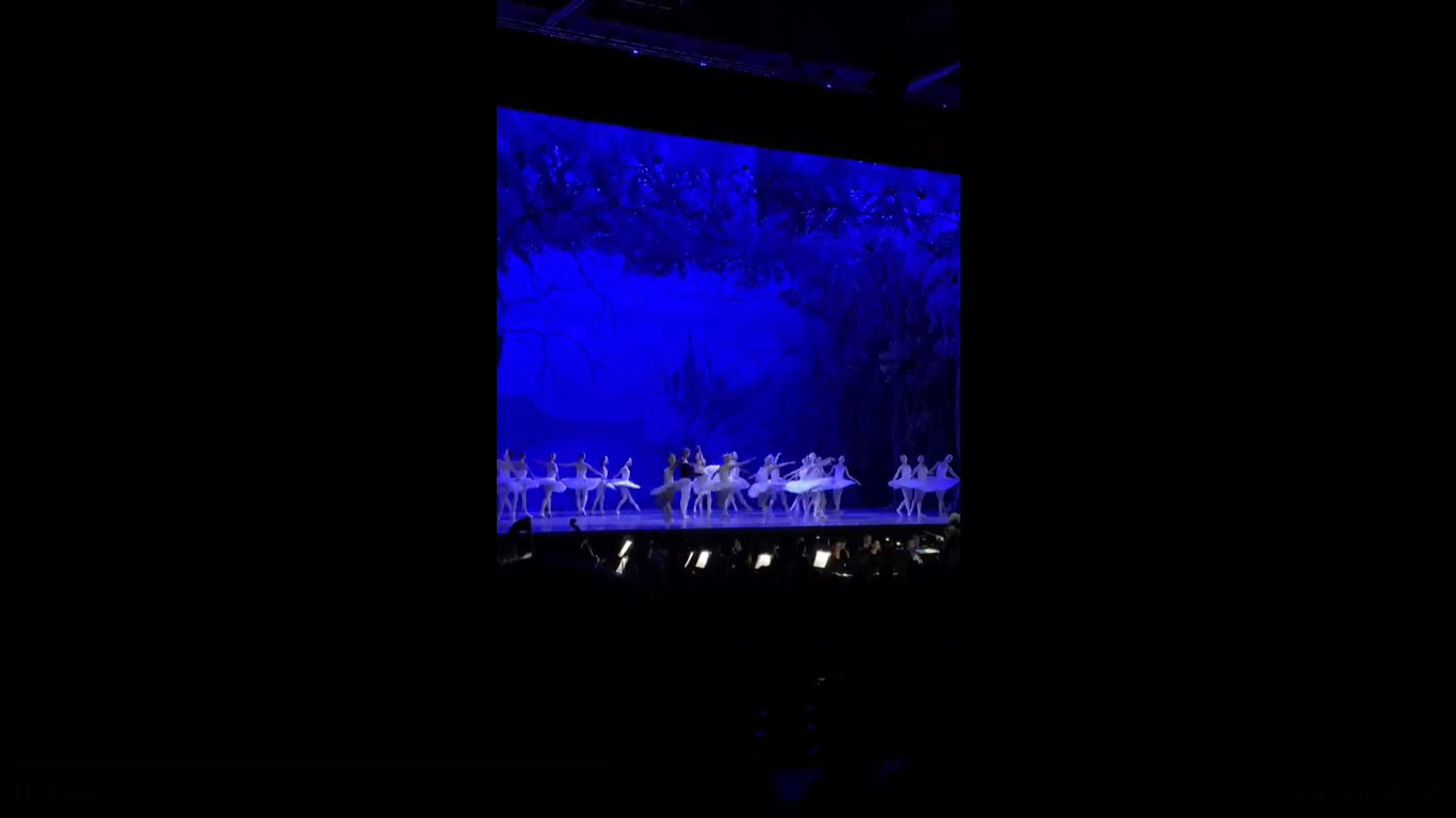 Le Lac des Cygnes par les Danseurs de l’Opéra National de Bulgarie