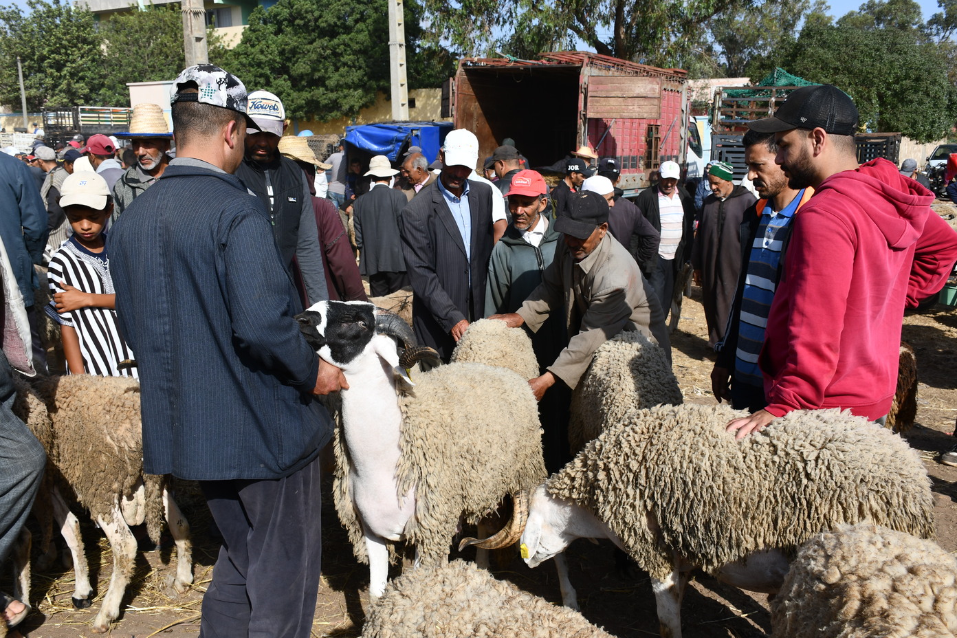 Aid Al Adha: Les ménages marocains ont dépensé 18 milliards de dirhams en 2023