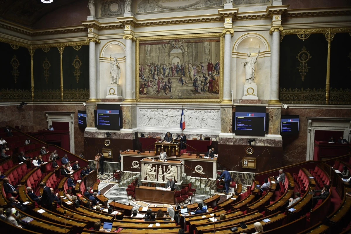 Le Conseil de l'Europe questionne le mécanisme français d'adoption des lois sans vote