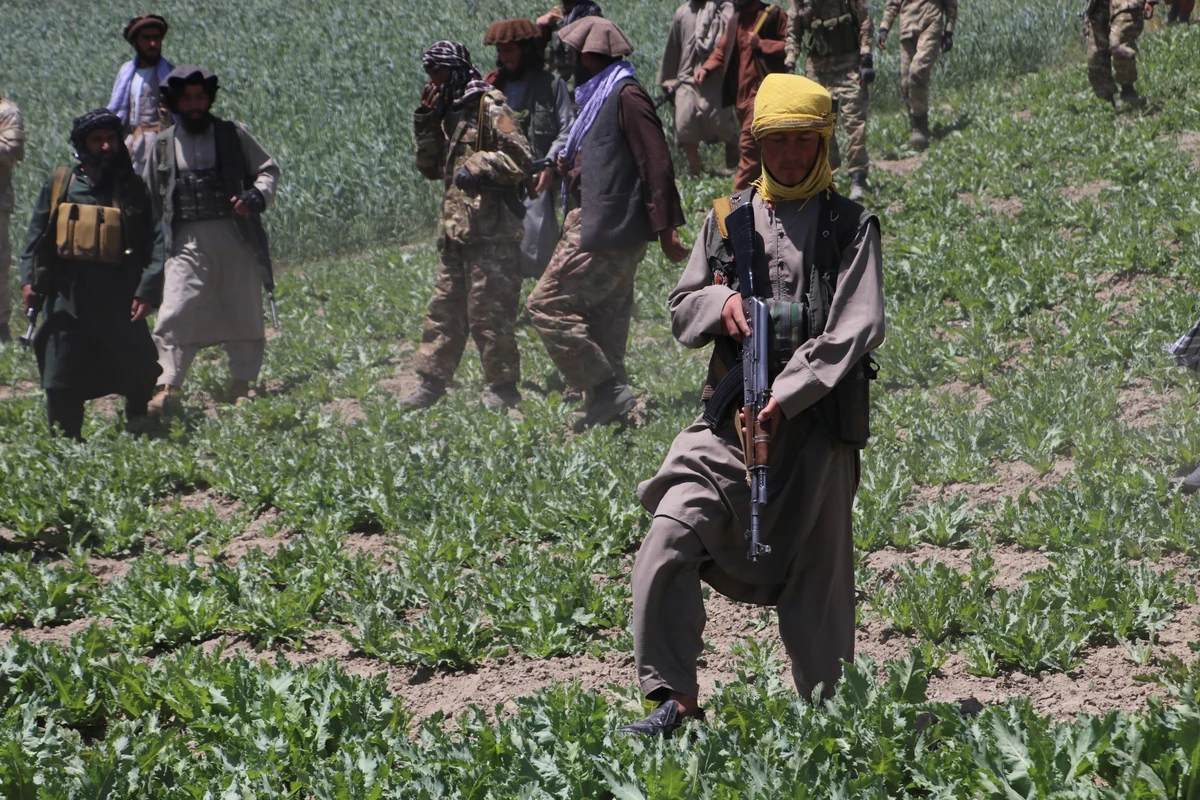 Le chef suprême de l'Afghanistan dit que les femmes ont été «sauvées de l'oppression» par les talibans
