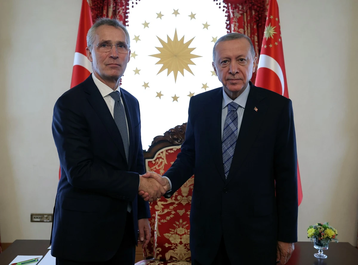 Erdogan tempère les attentes de la Suède avant le sommet de l'Otan