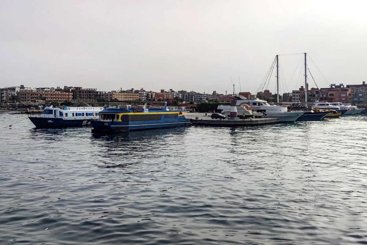 Egypte: un Russe tué par un requin en mer Rouge
