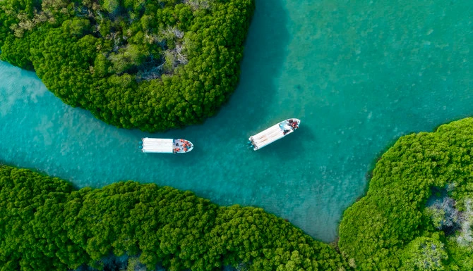 Les îles Farasan d'Arabie saoudite: biodiversité abondante et véritable potentiel en matière d'écotourisme