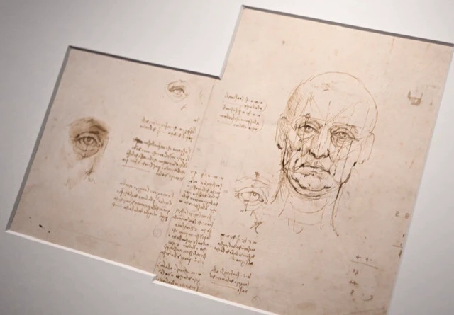 Les travaux anatomiques de Léonard de Vinci exposés au Clos Lucé d'Amboise