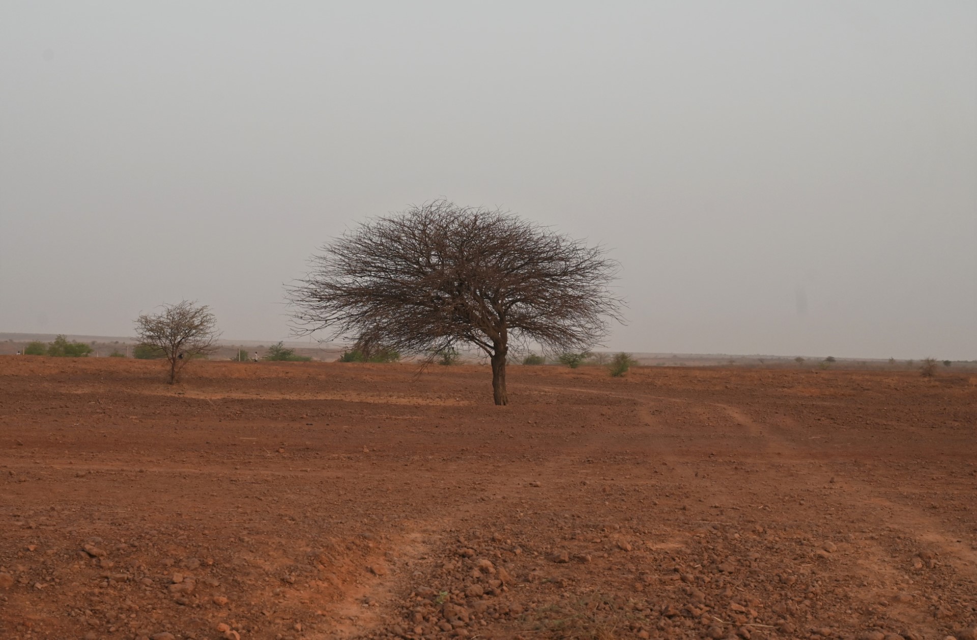 Préparation du sommet africain pour le climat: Pour une approche inclusive inspirée de la stratégie nationale