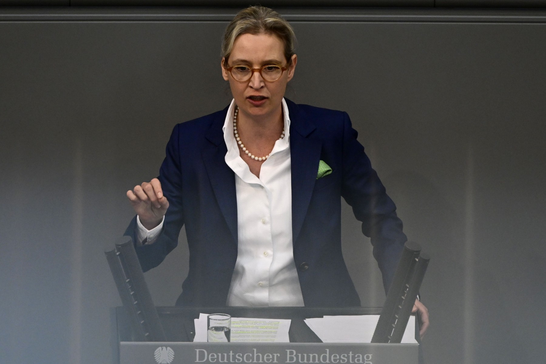 L'extrême droite allemande veut capitaliser sur sa percée dans les sondages