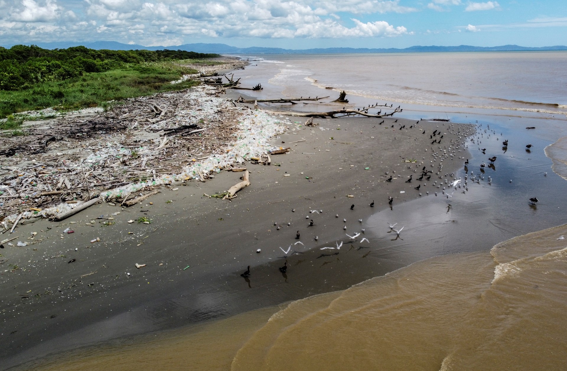 Le chimiste libanais Ali Abbas isole deux variétés de champignons destructrices de plastique