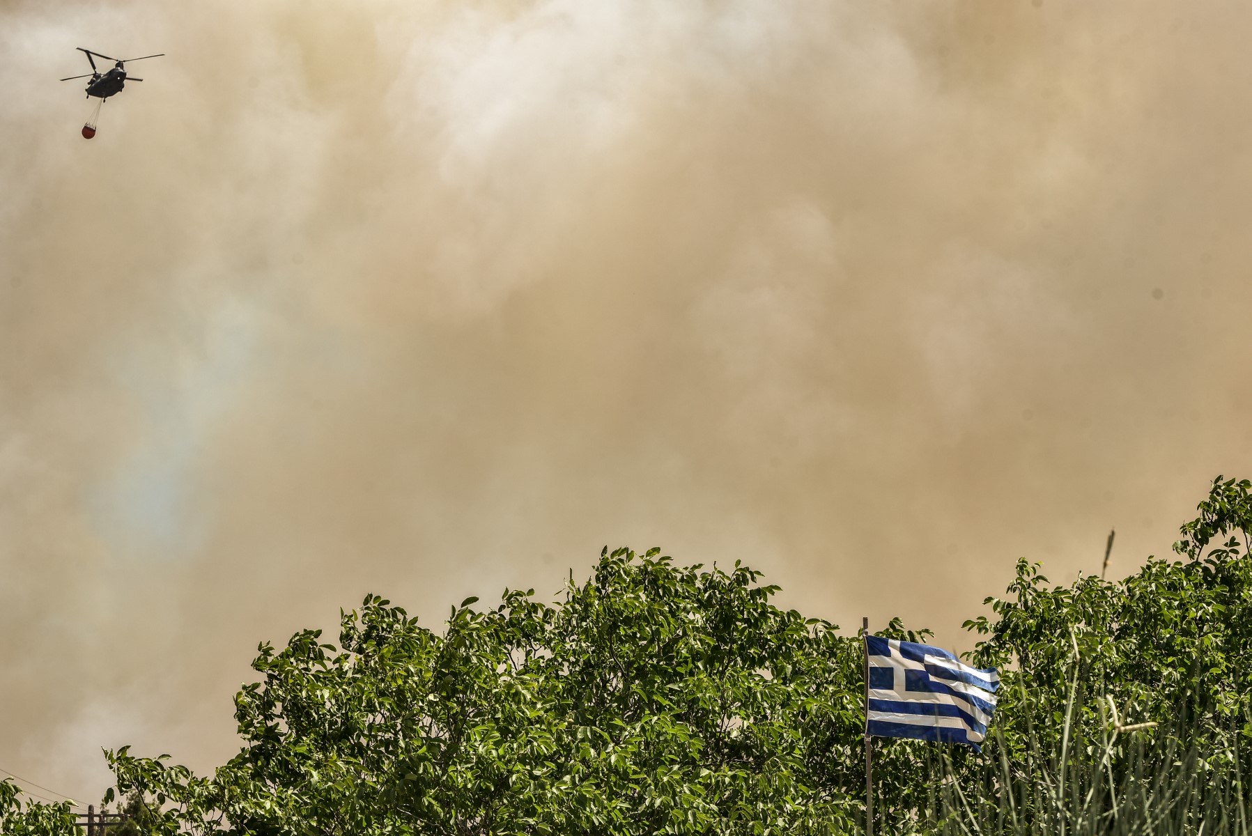 Canicule: la Grèce en « vigilance absolue», l'Acropole de nouveau fermée
