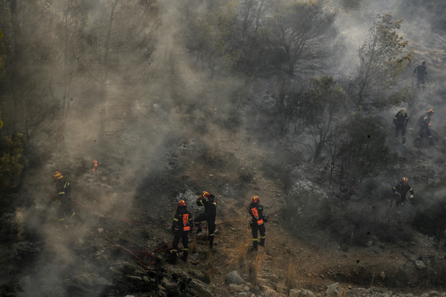 Canicule: Quelques 2000 personnes évacuées d'une île grecque en flammes, les Etats-Unis écrasés par la chaleur