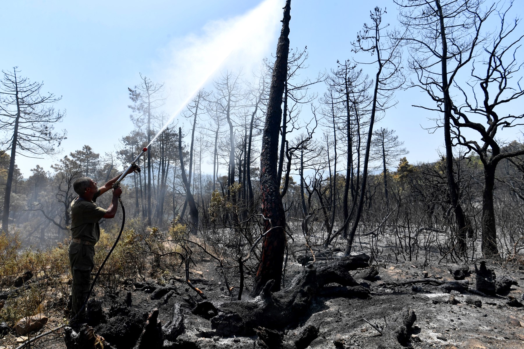 Tunisie: un point de passage fermé avec l'Algérie à cause d'un incendie de forêt