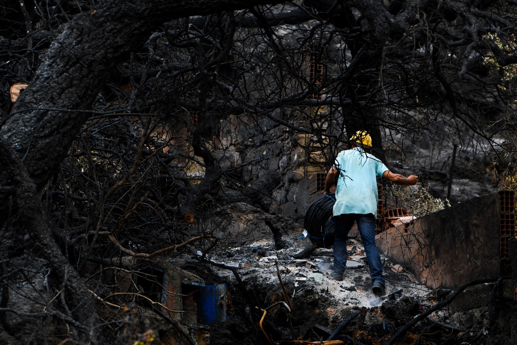 Algérie: Après les incendies meurtriers, l'estimation des dégâts et le ravitaillement des sinistrés
