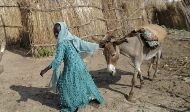 Guerre au Soudan: Affrontements et évacuations de civils à Khartoum