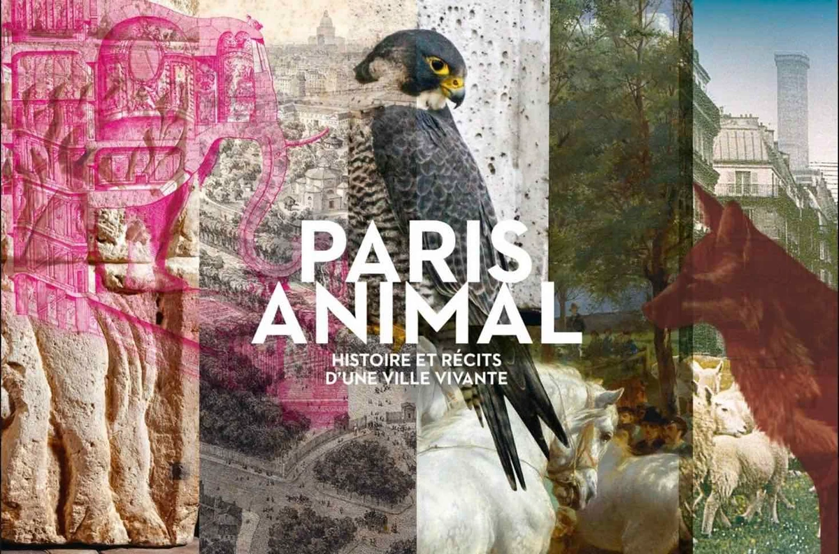 PARIS ANIMAL : Histoire et récits d'une ville vivante