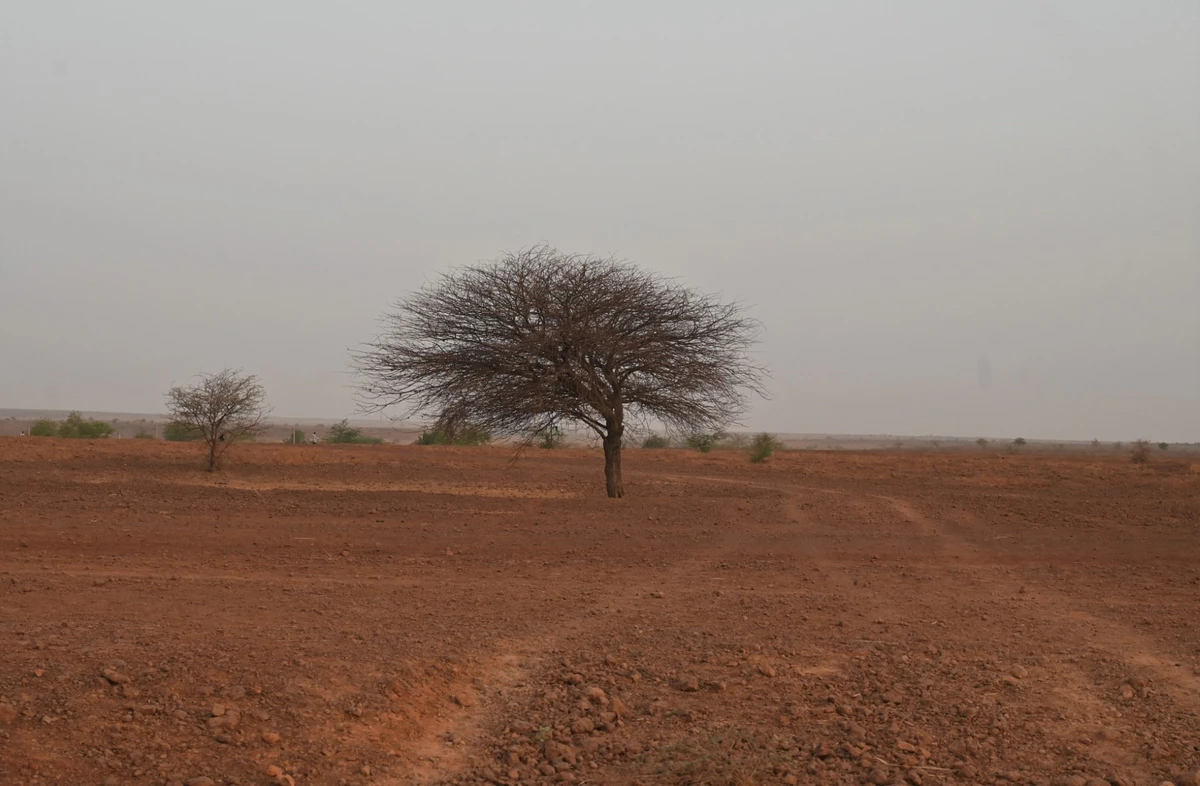 Préparation du sommet africain pour le climat: Pour une approche inclusive inspirée de la stratégie nationale