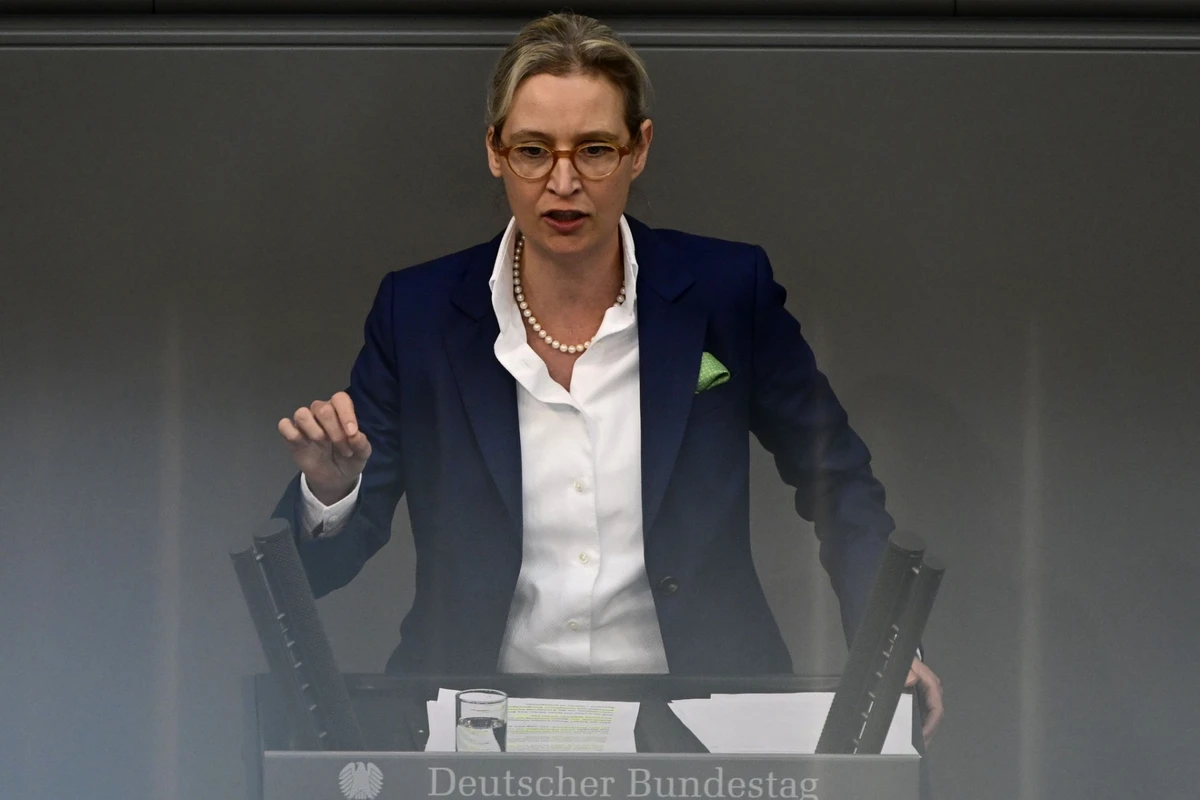 L'extrême droite allemande veut capitaliser sur sa percée dans les sondages