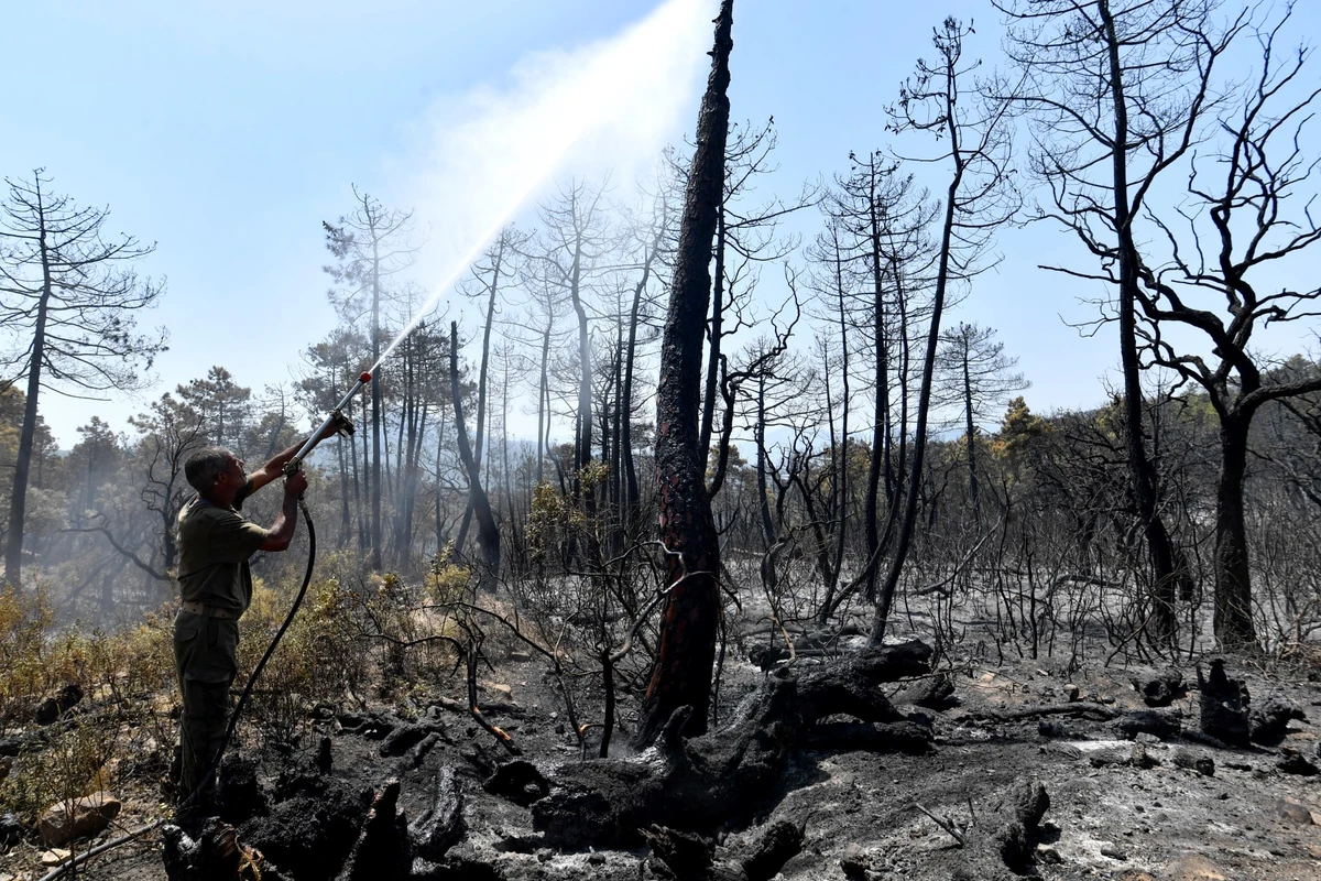 Tunisie: un point de passage fermé avec l'Algérie à cause d'un incendie de forêt