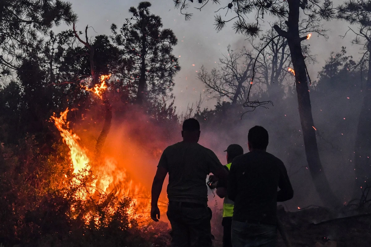 Les incendies meurtriers éteints en Algérie
