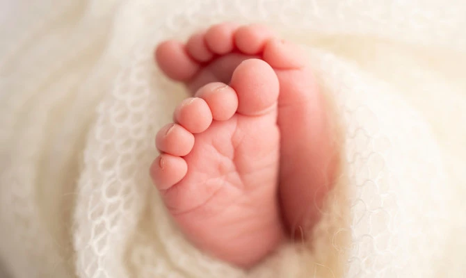 À Tripoli au Liban, un bébé retrouvé dans un sac poubelle et transporté par un chien errant