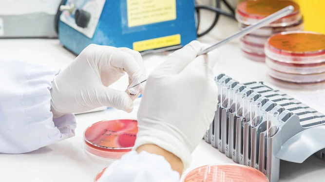 Lifera, détenue par le Fonds public d’investissement saoudien, s’associe à Sanofi et Arabio pour produire des vaccins