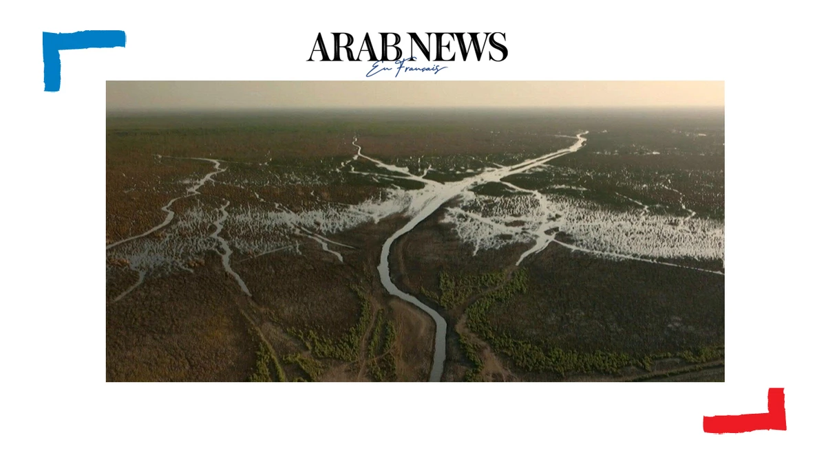 En Irak, les marais du sud s'assèchent et une civilisation agonise