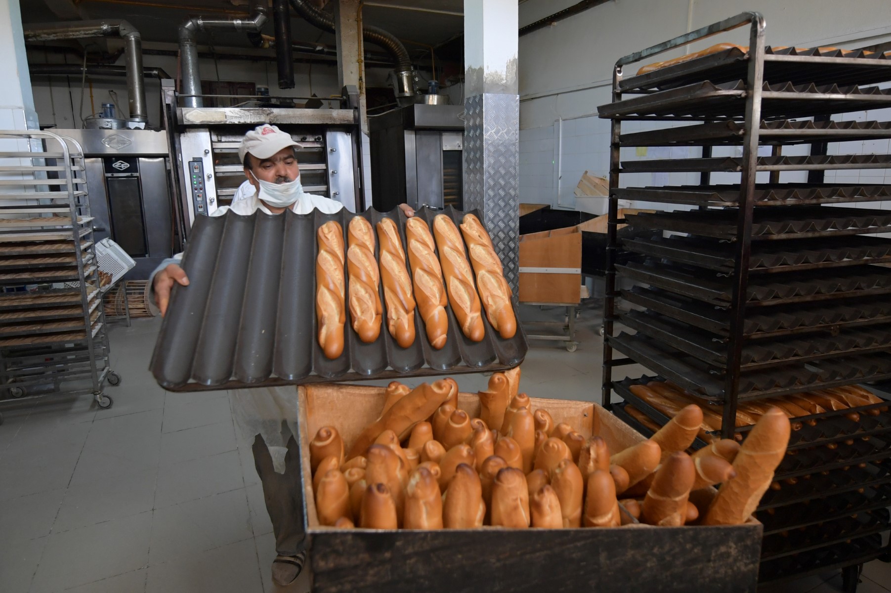 Crise du pain en Tunisie: arrestation du responsable d'une fédération de boulangeries