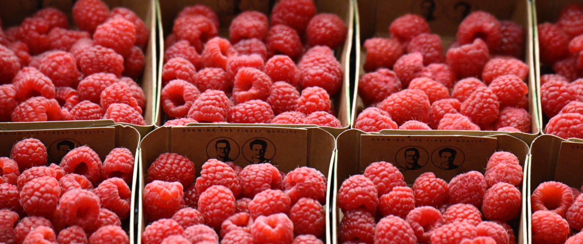 Le Maroc devient le leader des exportations de framboises au Royaume-Uni devant l’Espagne