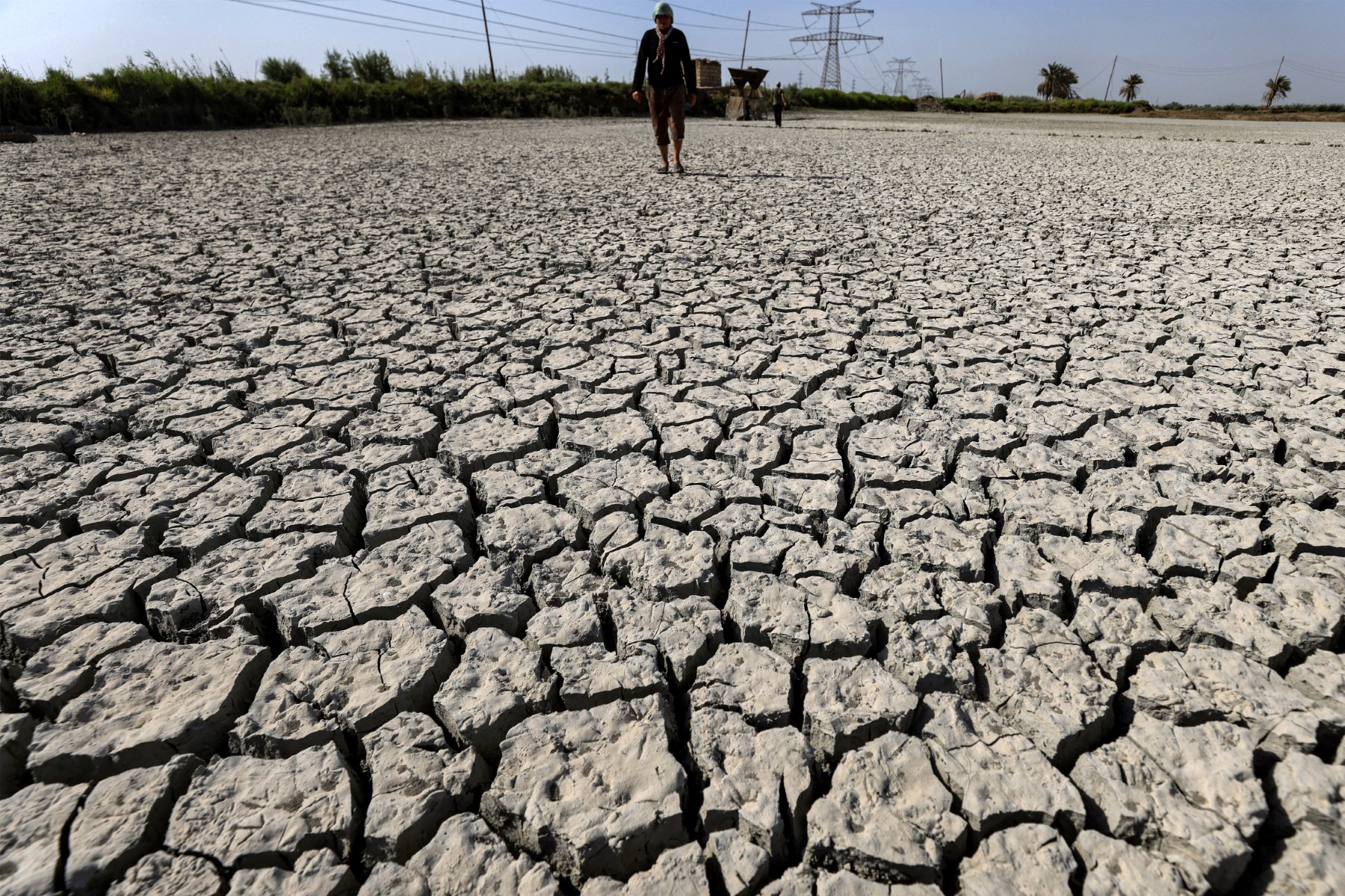 Trop gourmandes en eau, les fermes piscicoles d'Irak mises au régime sec