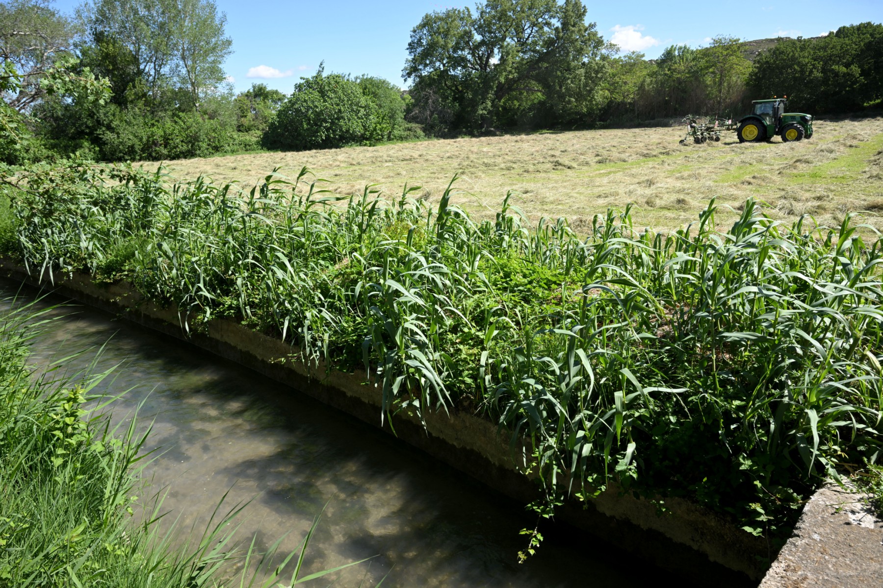En Provence, quand irrigation agricole, nappe phréatique et biodiversité font bon ménage