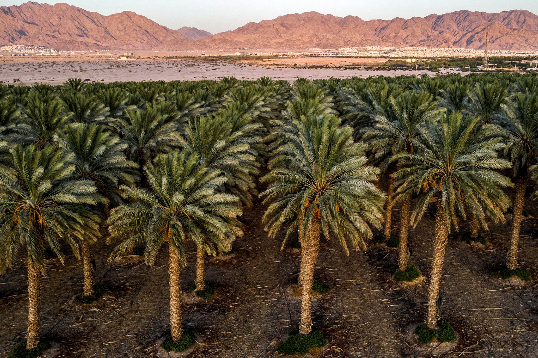 A Eilat, pas une goutte d'eau ne se perd
