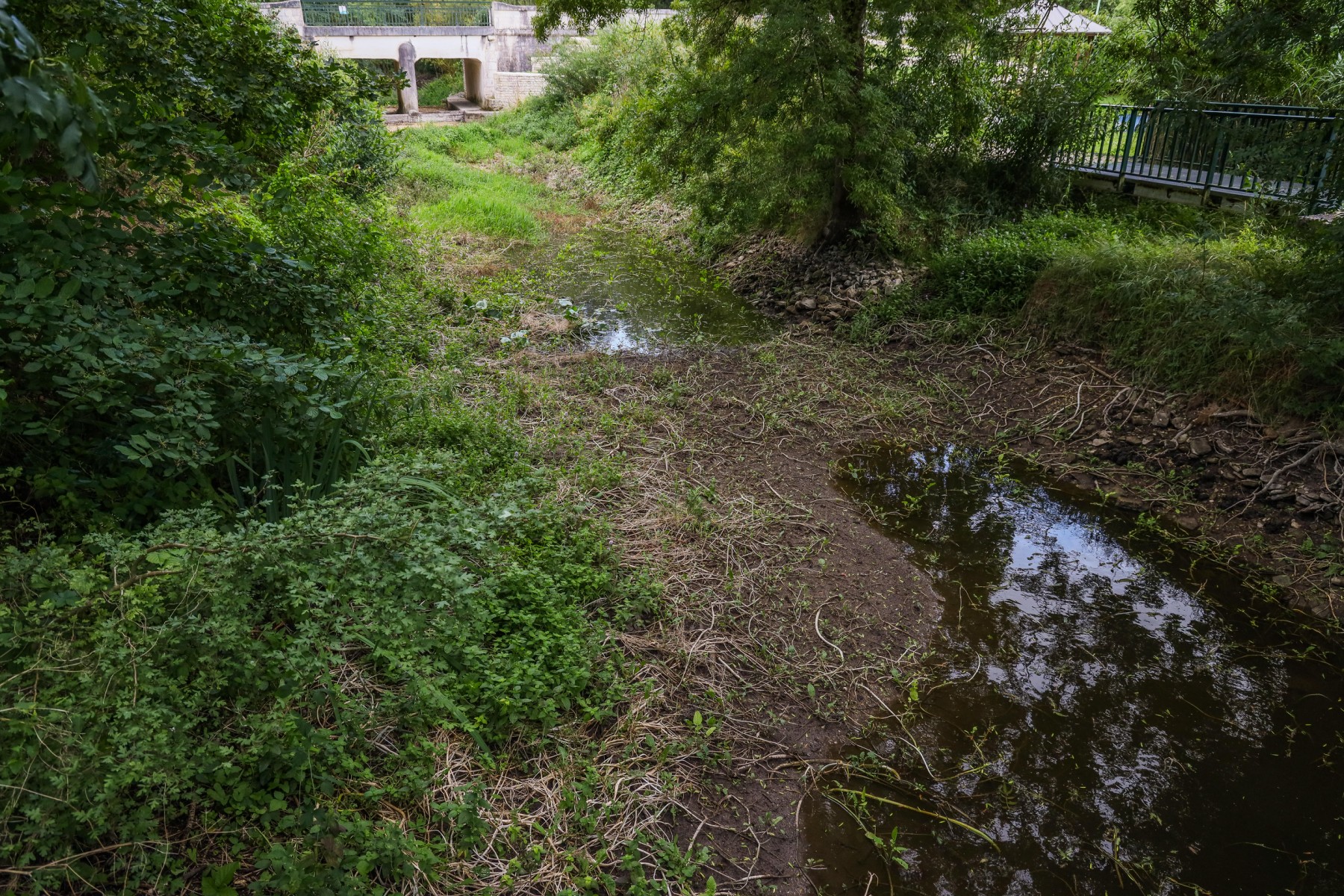Cette photographie prise le 2 août 2023 montre le lit asséché de la rivière Aume, dans le bassin de l'Aume-Couture du village de Saint-Fraigne, dans le sud-ouest de la France. (Photo Yohan Bonnet / AFP)