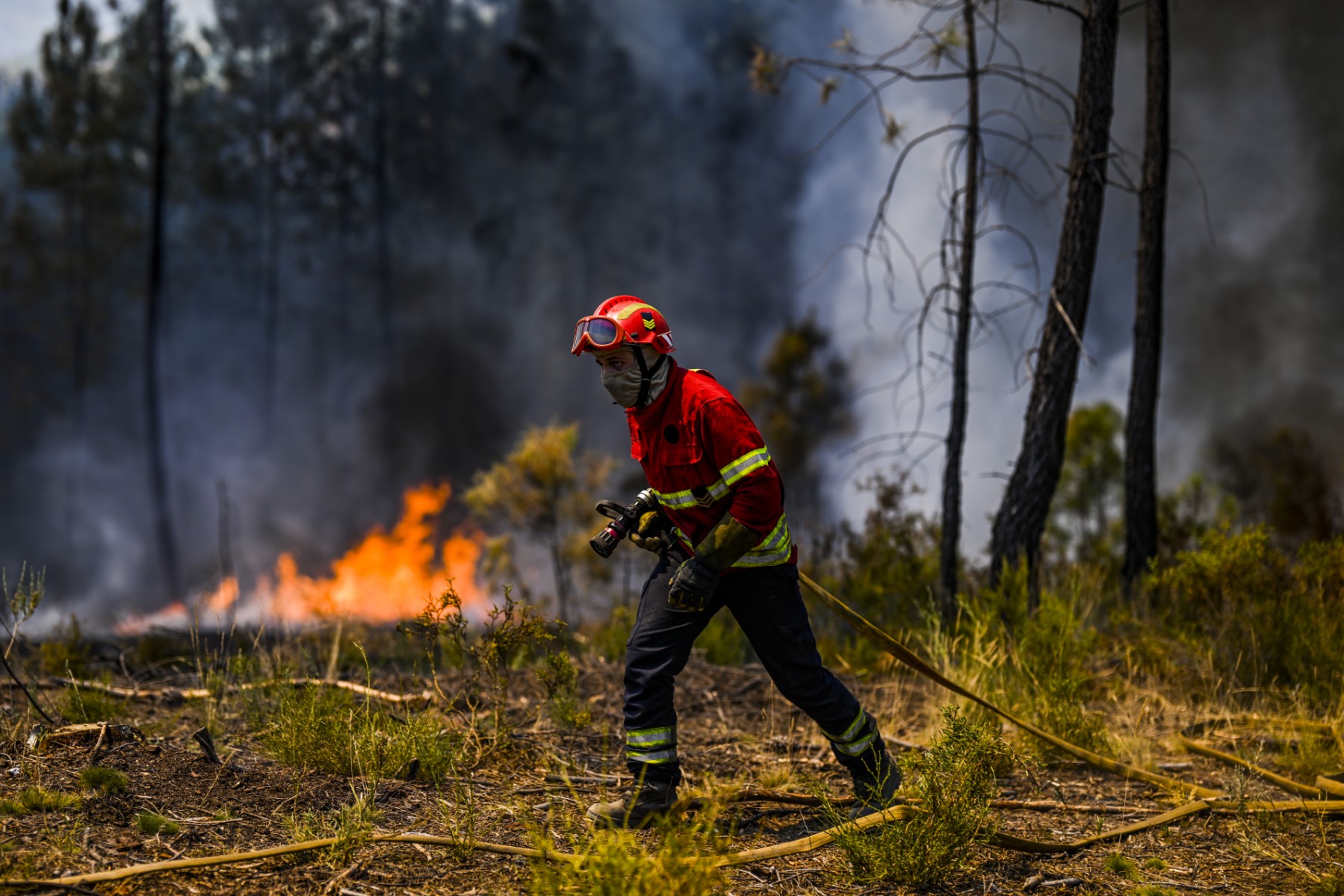L'Espagne et le Portugal en proie à la canicule et en état d'alerte face au risque d'incendies