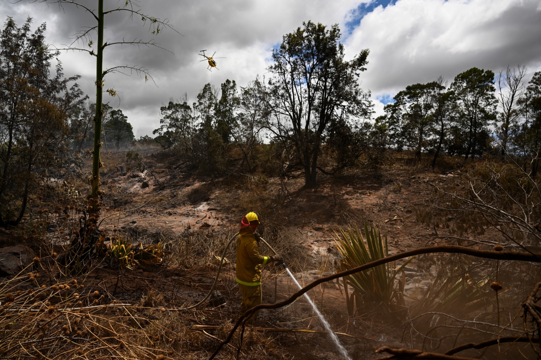 A Hawaï, le bilan humain des incendies atteint 99 morts et «pourrait doubler»
