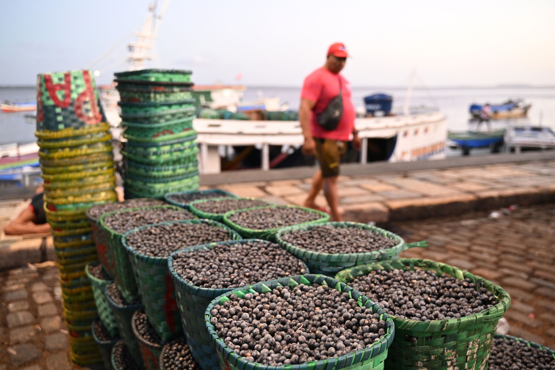 Le boom de l'açai, une chance et une menace pour l'Amazonie brésilienne