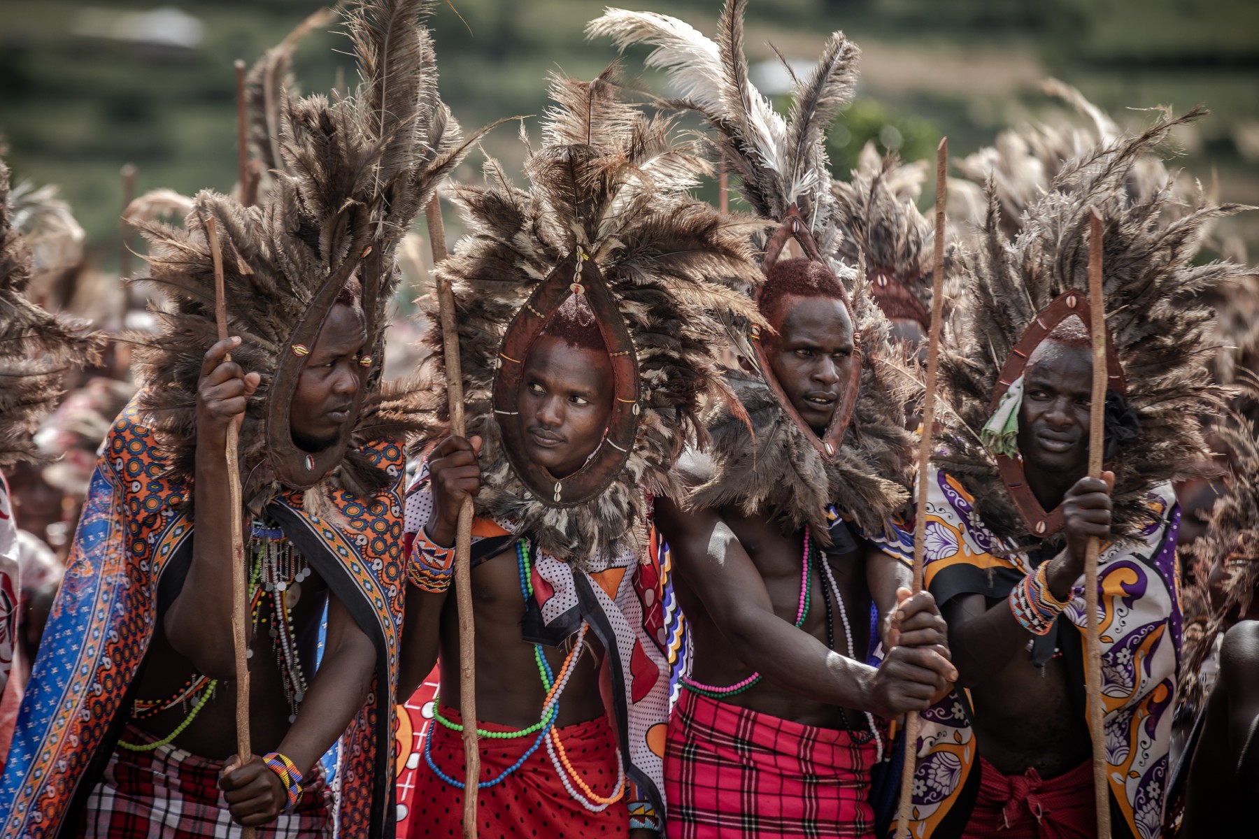 Kenya: à la cérémonie d'Eunoto, les jeunes Massaï renouent avec leur culture