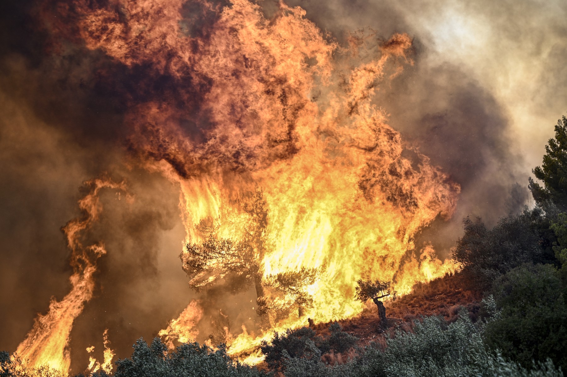 Grèce: 18 migrants présumés retrouvés morts dans un feu de forêt