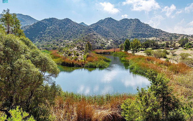 L’Autorité royale de développement de la réserve naturelle Imam Turki ben Abdallah a récemment introduit une gamme diversifiée d’activités et d’équipements touristiques à exploiter dans la zone de la réserve. (Agence de presse saoudienne)