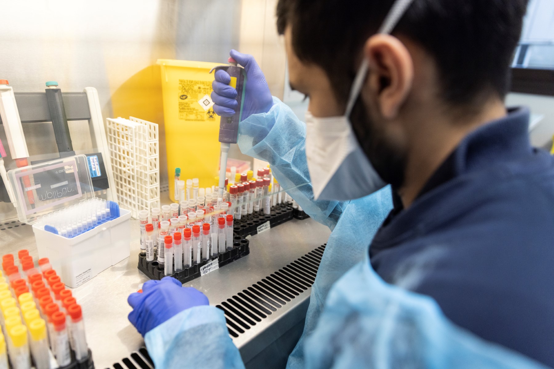Covid: un autre virus et la génétique pourraient expliquer des différences immunitaires