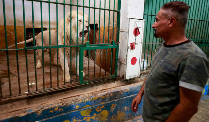 Au zoo de Bagdad, par 50 degrés, les tigres de Sibérie tirent la langue