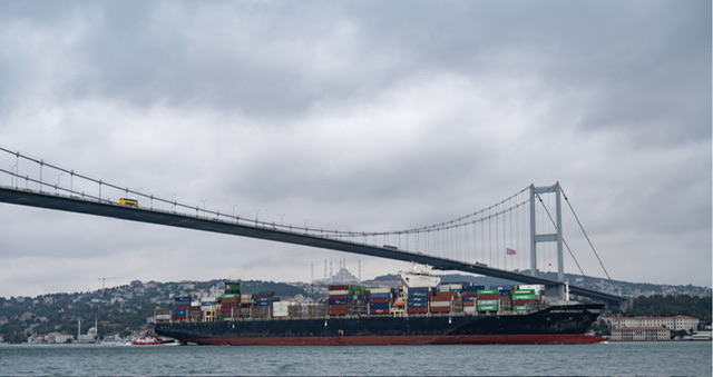 Ukraine: Un deuxième cargo a quitté Odessa malgré la fin de l'accord avec Moscou