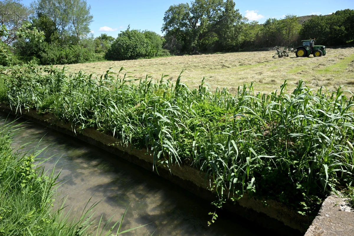 En Provence, quand irrigation agricole, nappe phréatique et biodiversité font bon ménage