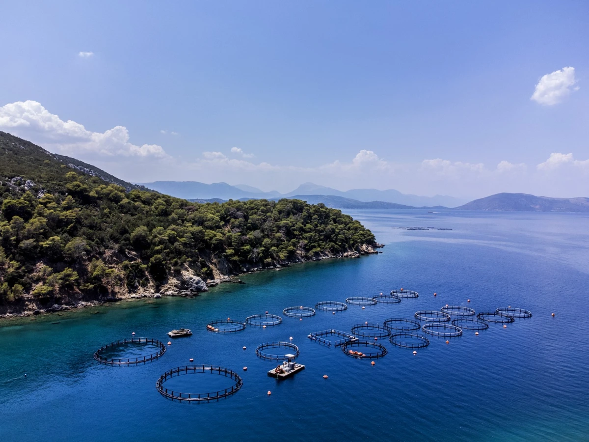 En Grèce, la colère d'une île touristique contre un projet de fermes piscicoles