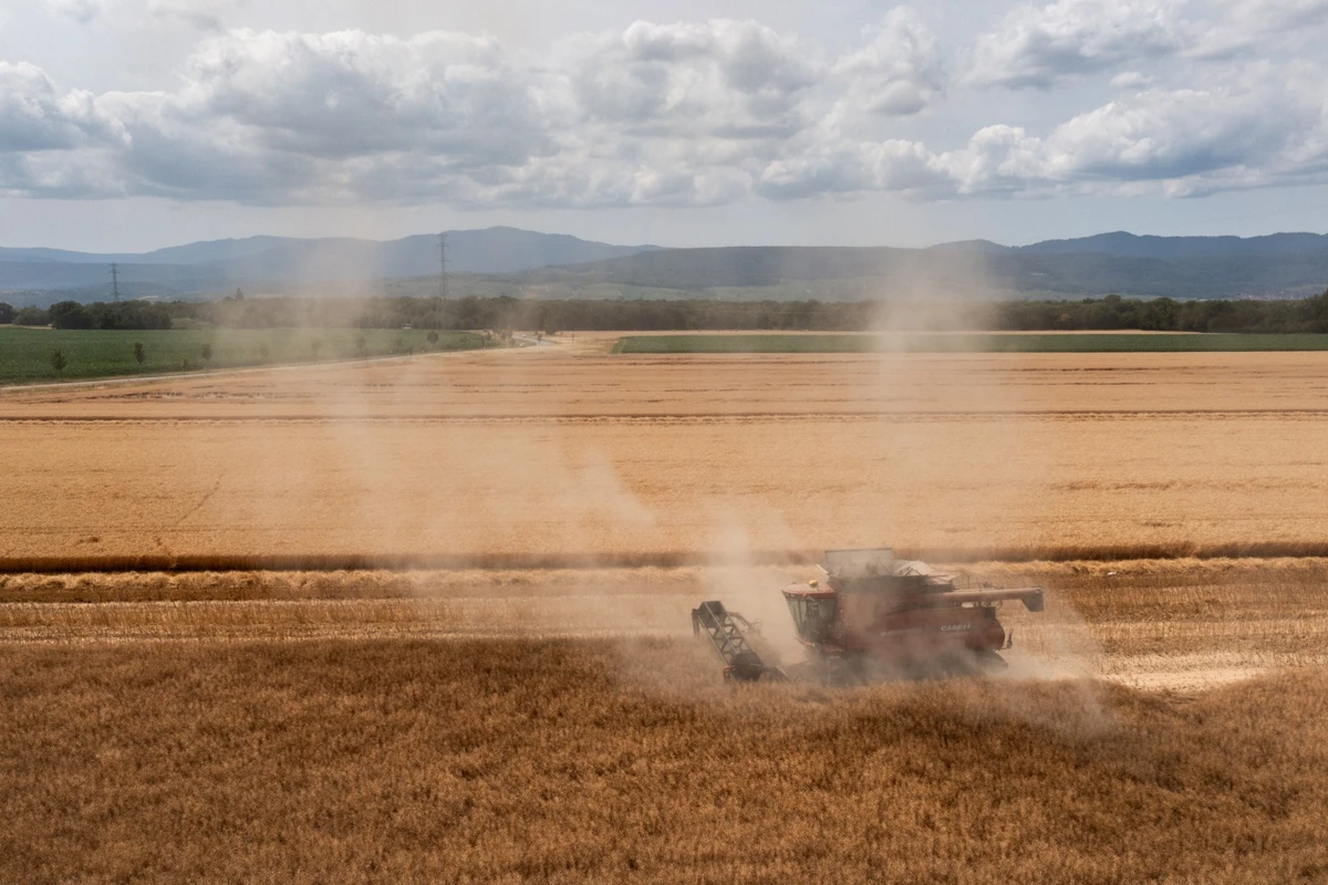 Les silos à grains sous haute surveillance face au réchauffement climatique