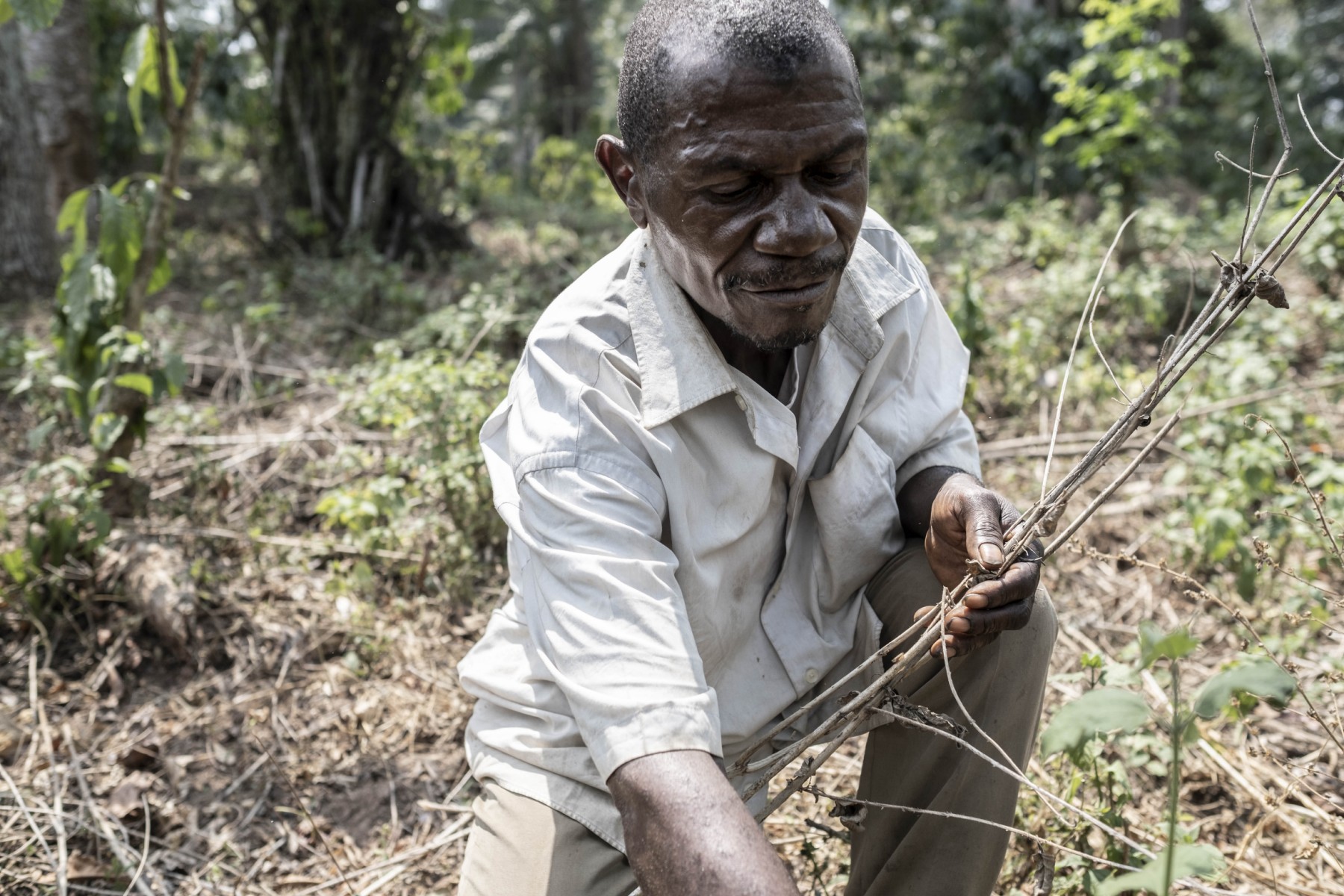 Investir dans les PME agricoles en Afrique: Une solution cruciale pour combattre la faim