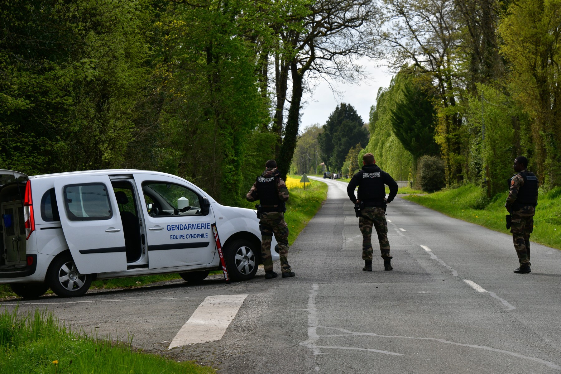 Alsace: Disparition «inquiétante» d'une adolescente de 15 ans