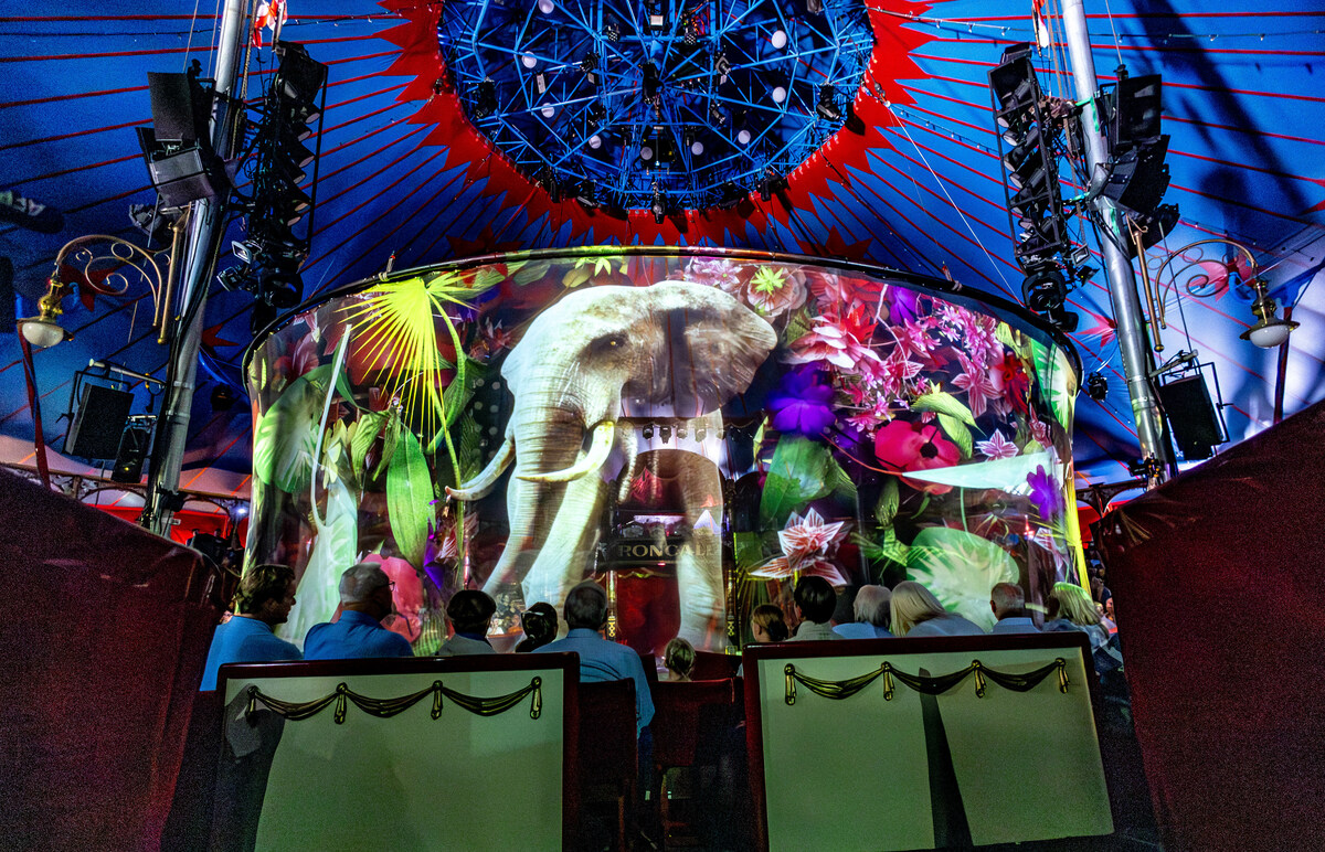 Quand un cirque allemand remplace des animaux par des hologrammes